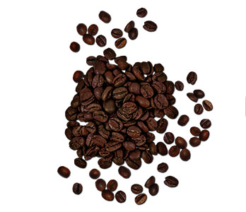 阿拉比卡咖啡豆-影片範例